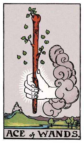 Ass der Stäbe – Rider-Waite-Tarot